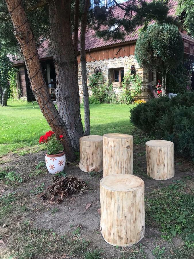 Vidiecky Dom Alexsandra - Ubytovanie V Sukromi Liptovska Ondrasova Buitenkant foto