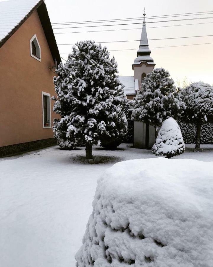 Vidiecky Dom Alexsandra - Ubytovanie V Sukromi Liptovska Ondrasova Buitenkant foto